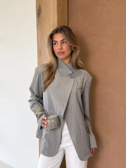 Blazer Fem grijs