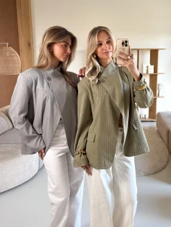 Blazer Fem grijs