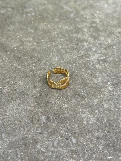 Isabella ring goud