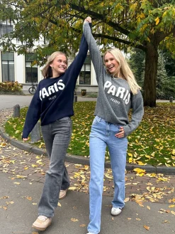 Meet me in Paris grijs