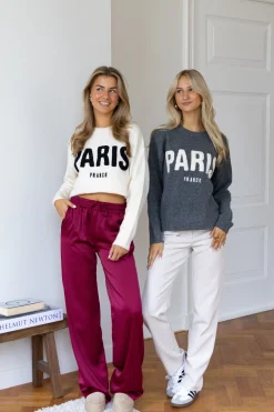 Meet me in Paris grijs