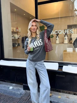 Meet me in Paris grijs