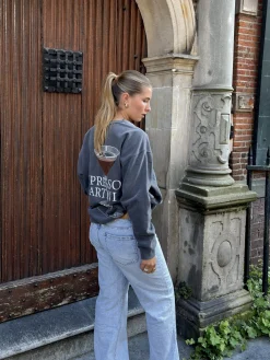 Sweater Espresso martini grijs