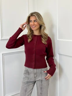Trui Blake bordeaux