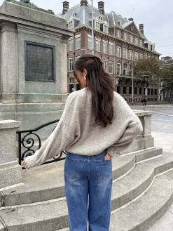 Trui Ella taupe